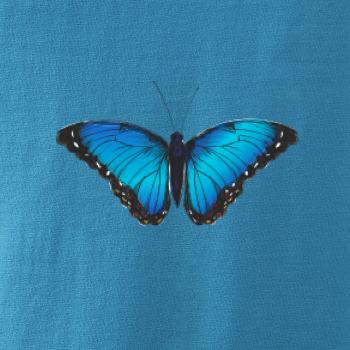 Motyl babočka Morpho Peleides