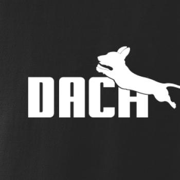 Jezevčík Dach