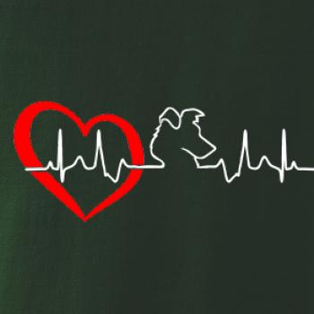 Border kolie EKG Border kolie EKG