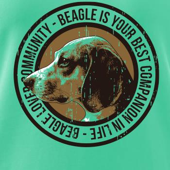 Dog beagle Dog beagle