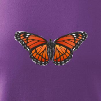 Motýl Monarcha stěhovavý