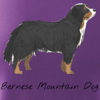 Bernese mountain dog kreslený