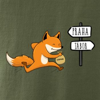 Běží liška k táboru