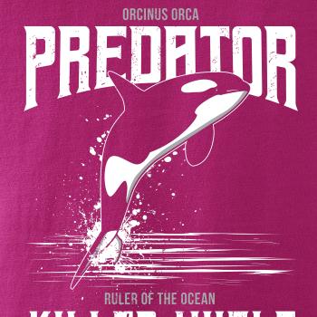 Orca predator