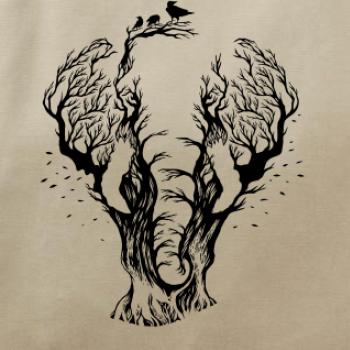Slon ilustrace