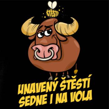Unavený štěstí sedne i na vola