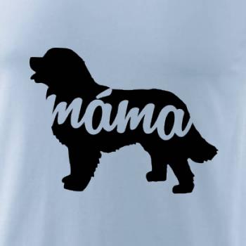 Bernský salašnický pes máma obrys