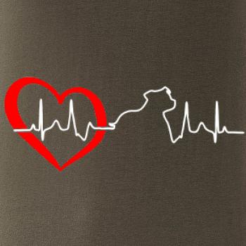 Stafordšírsky bulteriér EKG Stafordšírsky bulteriér EKG