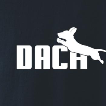 Jezevčík Dach