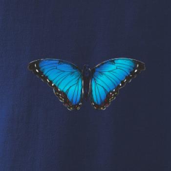 Motyl babočka Morpho Peleides