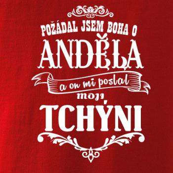 Požádal jsem boha o anděla a on mi poslal moji tchýni