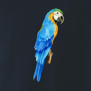 Ara modrá kreslená