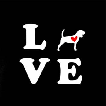 Bígl love Bígl love