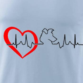 Border kolie EKG Border kolie EKG