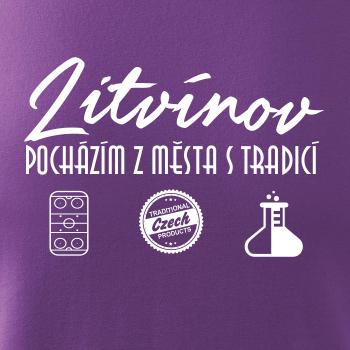 Litvínov město s tradicí