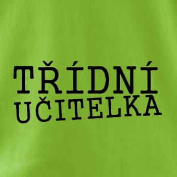 Třídní učitelka
