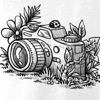 Foťák kreslený beruška