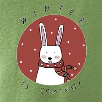 Winter is coming zajíc