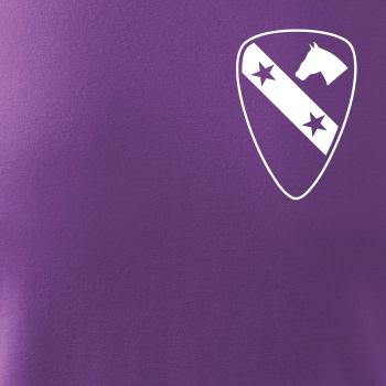 1st Cavalry Division hvězdy prsa