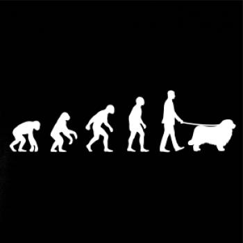 Evoluce pes Novofundlandský pes (muž-žena)