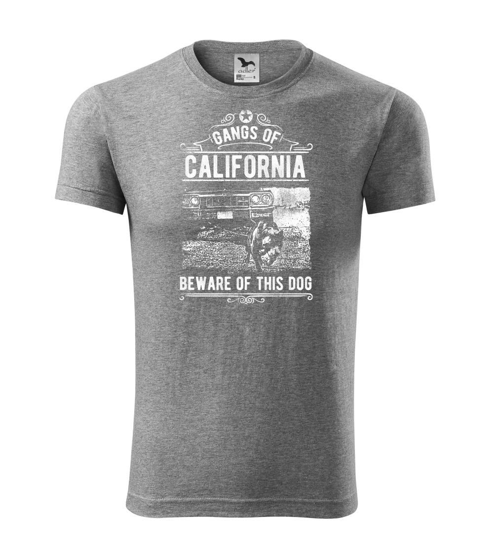 Gangs Of California Gangs Of California