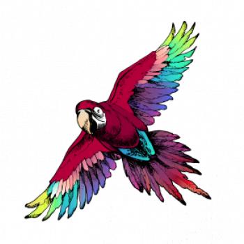 Papoušek kreslený letící