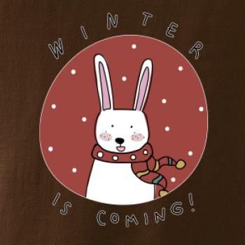 Winter is coming zajíc