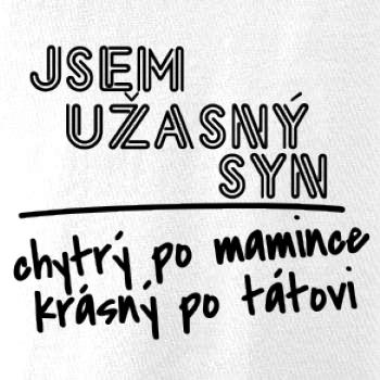 Jsem úžasný syn Jsem úžasný syn
