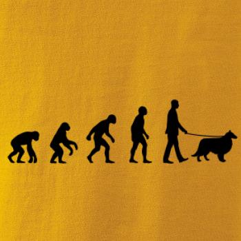 Evoluce pes Sheltie (muž-žena)