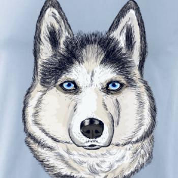 Husky hlava - kreslený