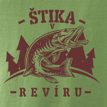 Štika v revíru