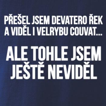 Viděl jsem velrybu couvat