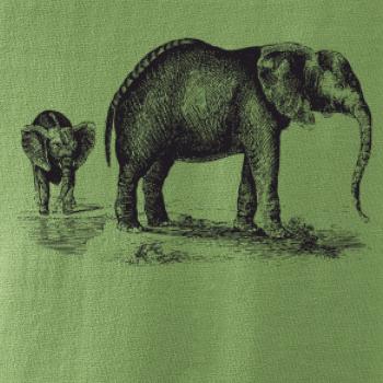 Slonice a slůně kreslené