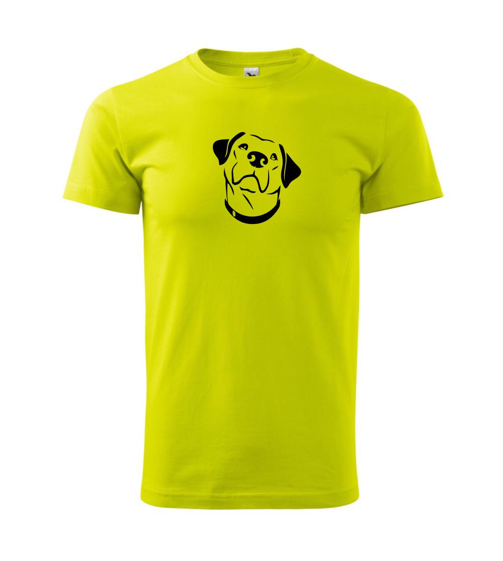 Labrador obrys Labrador obrys