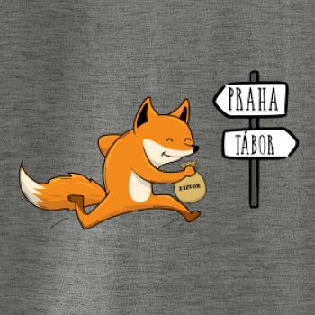 Běží liška k táboru