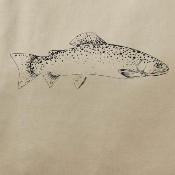 Pstruh duhový rovný