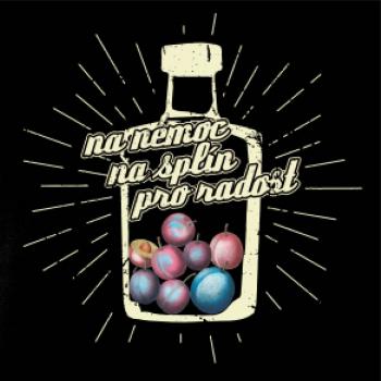 Na co pít slivovici