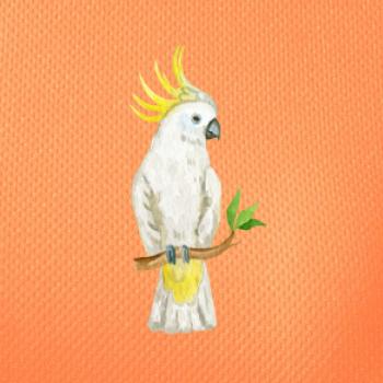 Papoušek Kakadu kreslený