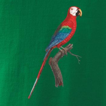 Papoušek červený na větvi