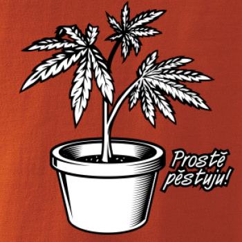 Konopi prostě pěstuju Konopi prostě pěstuju