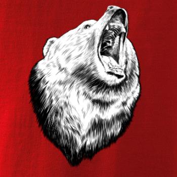 Medvěd trošku naštvaný