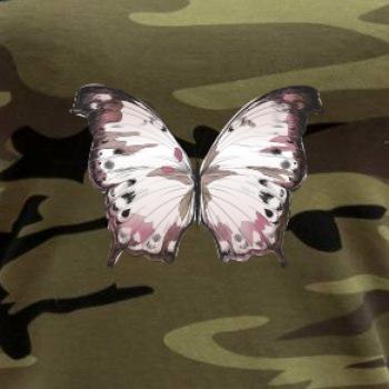 Motýl růžovobílý