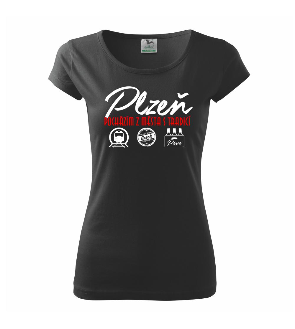 Plzeň město s tradicí