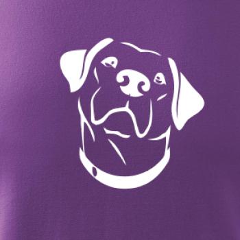 Labrador obrys