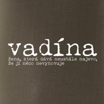 Čeština 2.0 - vadína