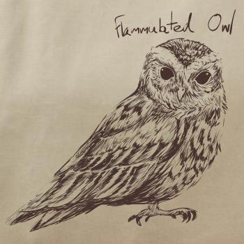 Výreček plaménkový flammulated owl