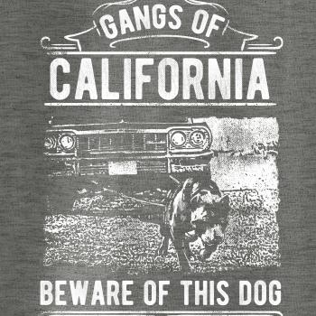 Gangs Of California Gangs Of California