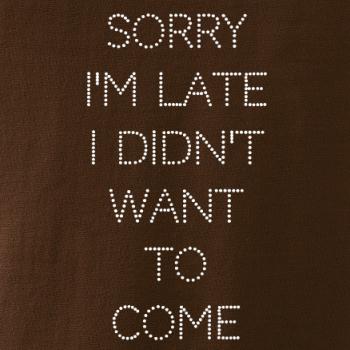 Sorry I am late i didn't want to come