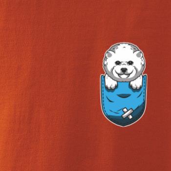 Bišonek v kapsičce