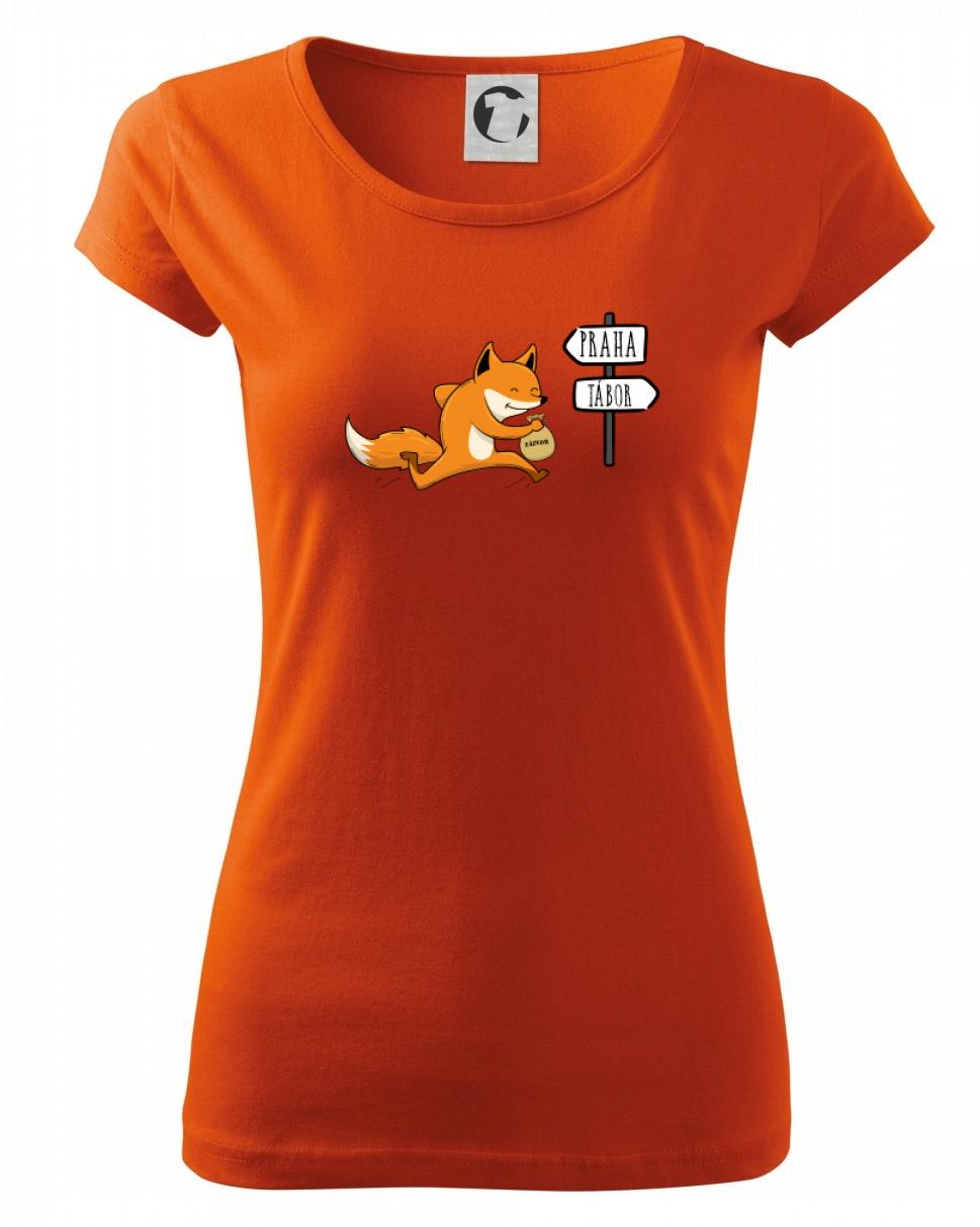 Běží liška k táboru